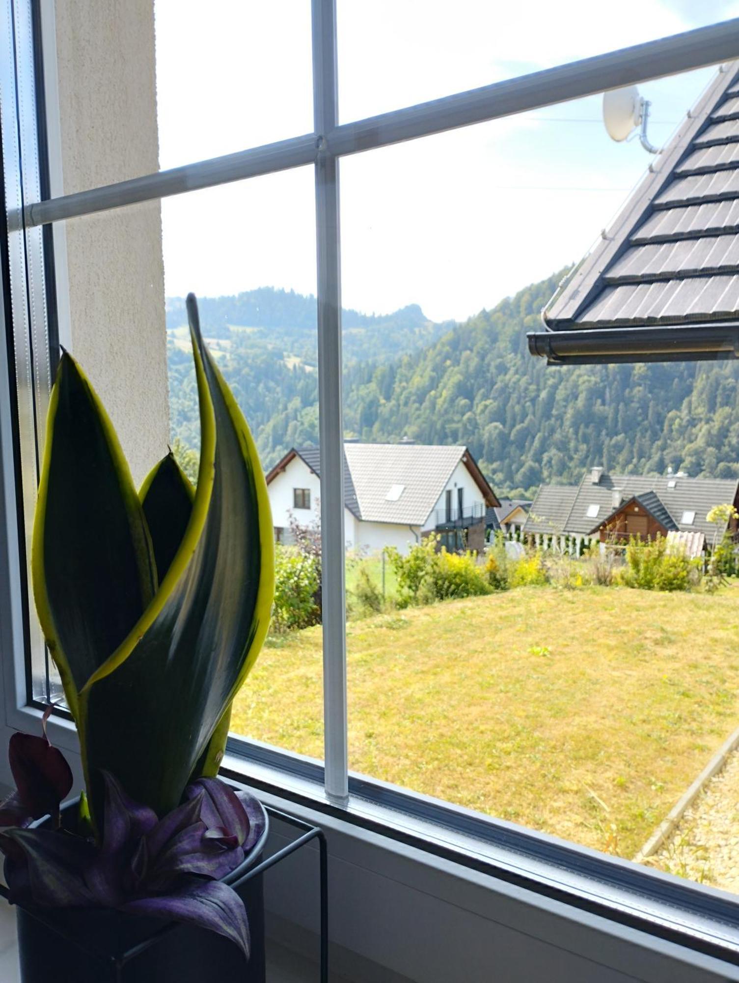 Cisza I Spokoj Szczawnica Esterno foto